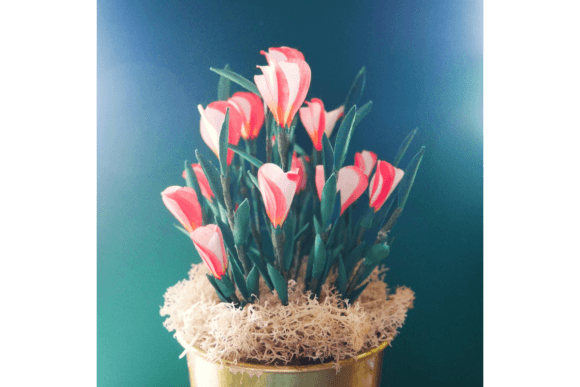 Oxalis Versicolor: 3D SVG Paper Flowers for Blogs