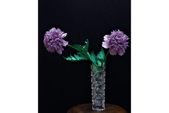 PomPom Peony Poppy: A Designer's Review for Real Projects